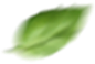 h5_decor4.png